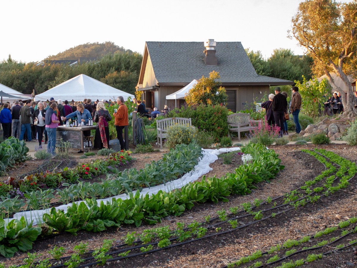 Urban Adamah Archives — Berkeleyside