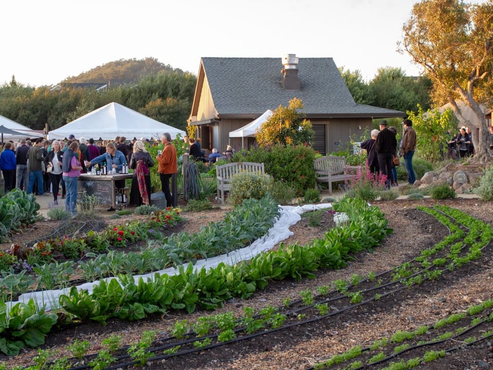 Hannukah Party @ Urban Adamah